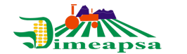 DIMEAPSA