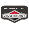 Briggs & Stratton