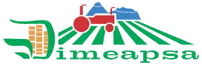 DIMEAPSA